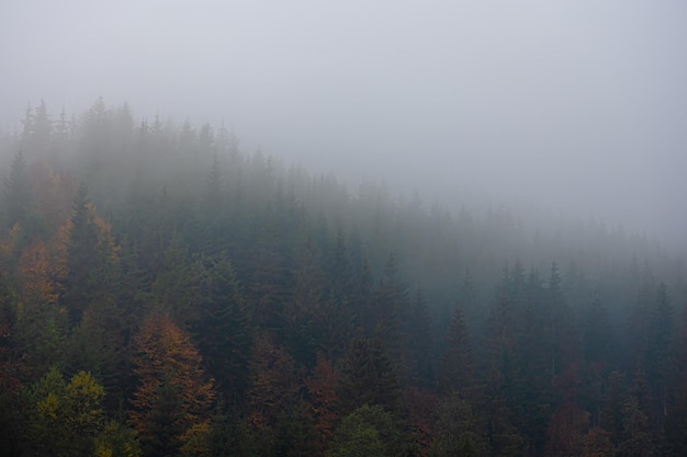 为什么越来越多的人要低糖饮食?_1